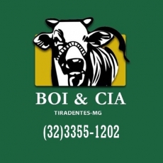 Churrascaria Boi &amp; CIA