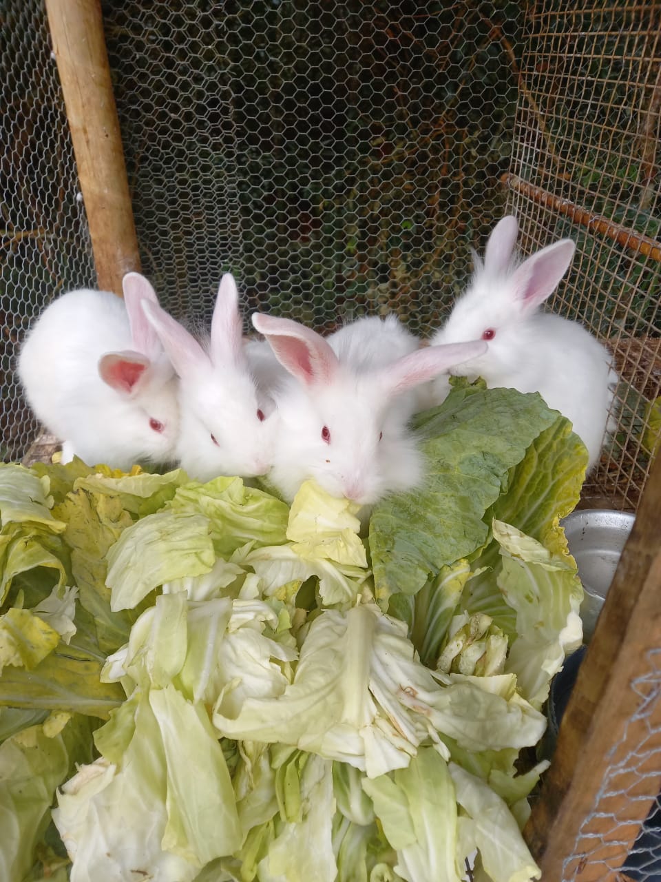 WhatsApp Image 2021 10 05 at 15.26.55 1