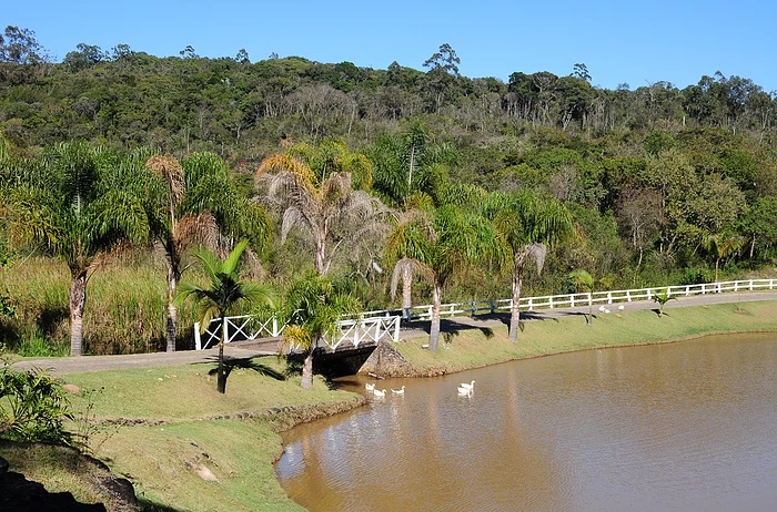 pedomorro1
