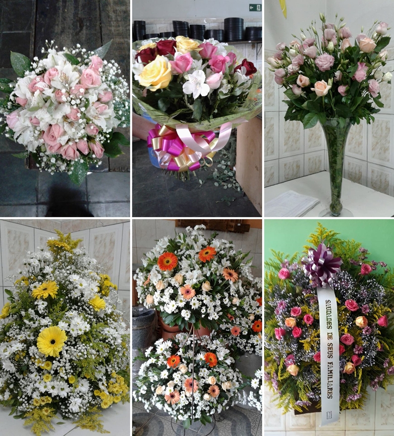 21151299 692774964255711 854840072447727595 n tile