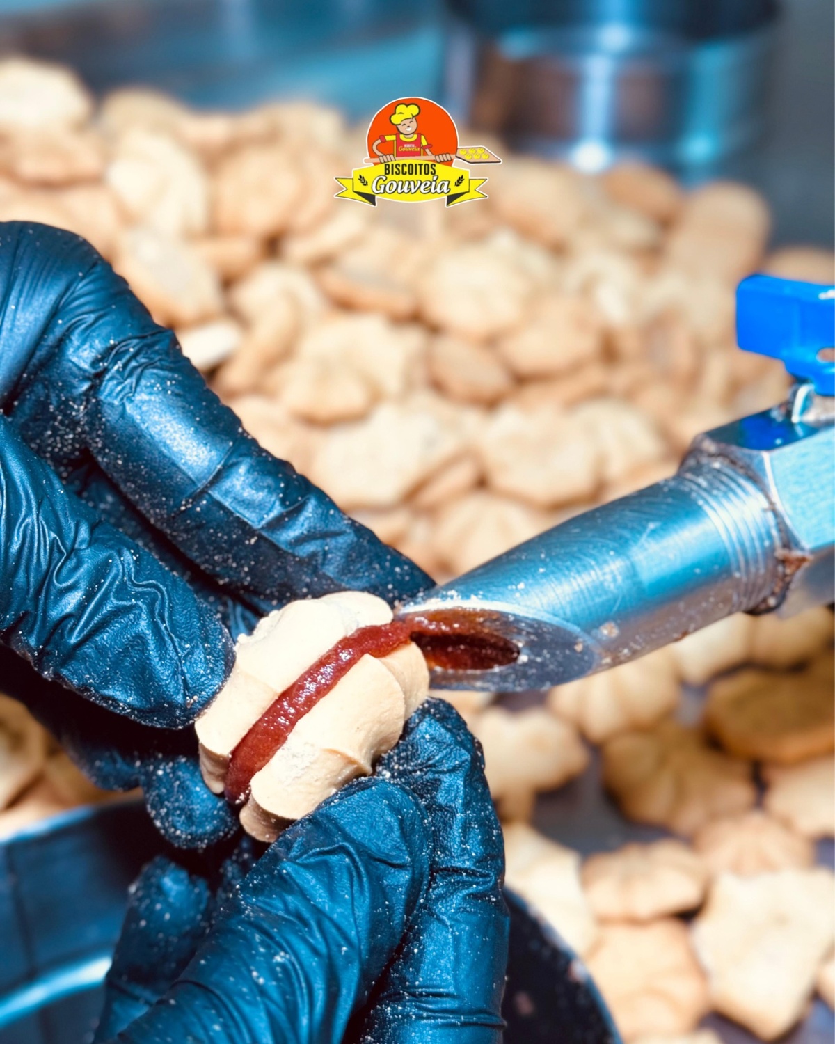 biscoitosgouveia 5 1200