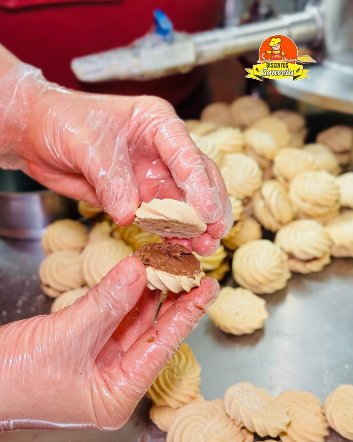 biscoitosgouveia 8 1200