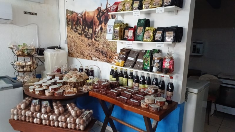 brilhodafazendanovas7