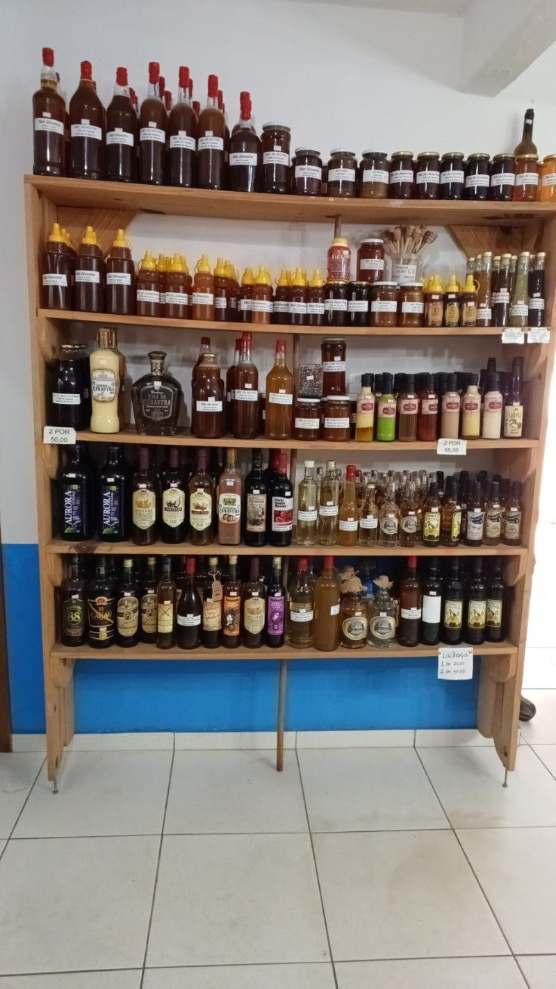 brilhodafazendanovas8 2