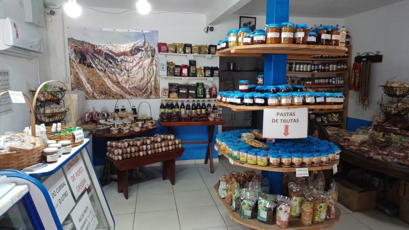 brillhodafazendanovas6