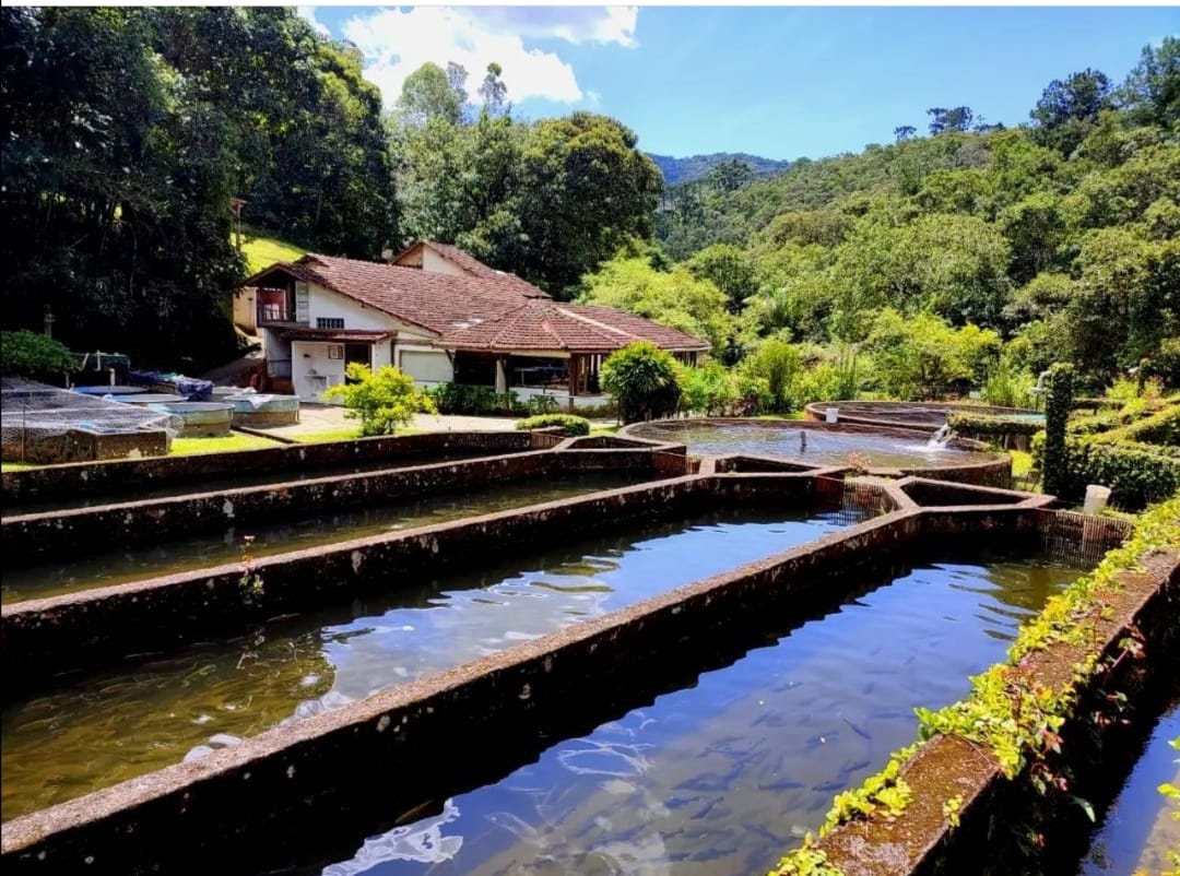 WhatsApp Image 2022 06 02 at 14.04.40 1