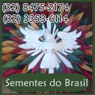 Sementes do Brasil